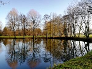 Lac dans le parc du château de Bernicourt à Roost-Warendin